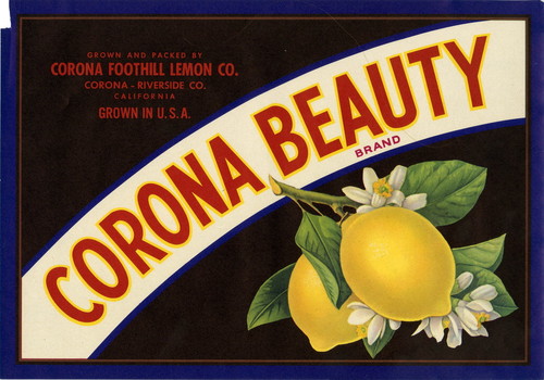 Crate label, "Corona Beauty Brand." Grown and packed by Corona Foothill Lemon Co. Corona, Riverside Co., Calif