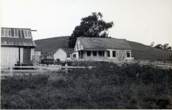 Stumpf Ranch, 19001 Highway 1, Bodega Bay, California, 1979 or 1980