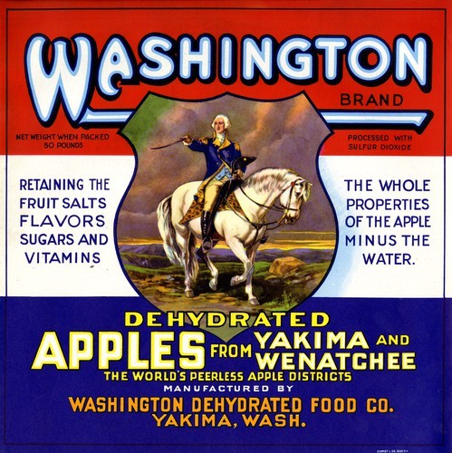 Washington Brand