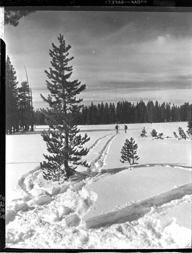 Big Creek snow survey. Long shot of men taking a depth reading snow