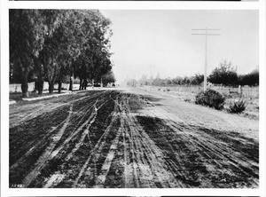 Washington Boulevard looking west from Maple Street, ca.1903