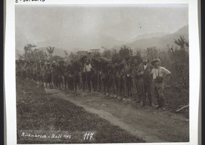 Returning from Bali 1907