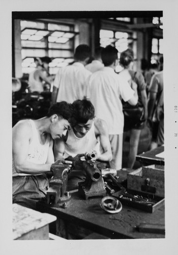 Young workers in the factory