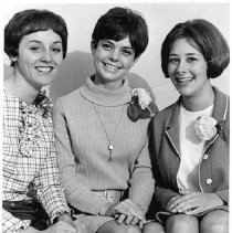View of the three candidates from American River Junior College vying for the 1967 Camellia Festival Queen title