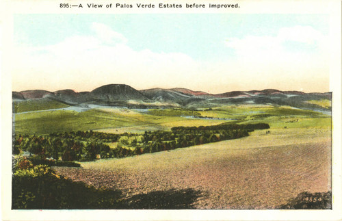 A View of Palos Verde Estates before improved