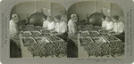 Dates 13. Hand grading of dates as to quality, Indio, Calif., 113