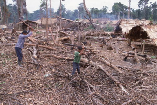 Guatemalan refugees chop wood at a camp, Chajul, ca. 1983