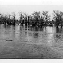 View of the flooded Sacramento River in 1950