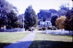 Ives Park in Sebastopol, California, 1965