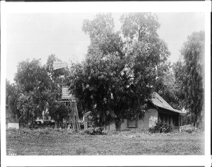 Exterior view of an adobe built by Frenchman Don Luiz Martinez in Sonora Town near Ninth Street and the River(?), ca.1905