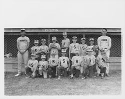 Senators Rincon Valley Little League team at the Rincon Valley Little League Park, Santa Rosa, California, 1963