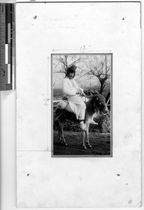 Portrait of a man riding a burro, Korea, ca. 1920-1940