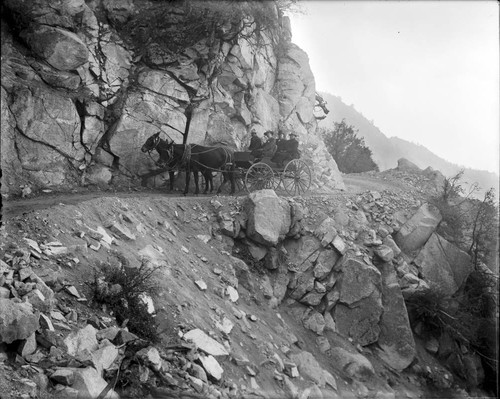 Horse-drawn wagon on Mount Wilson toll road