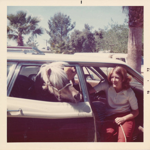 Driving a pony to a birthday party