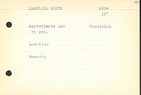 CAMELLIS WHITE