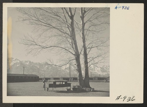 A view on the main fire break at this War Relocation Authority Center for evacuees of Japanese descent. In the background is seen the Sierra Nevada range of mountains, and in the foreground is a rabbit hutch, which houses pets of some of the children. Photographer: Stewart, Francis Manzanar, California
