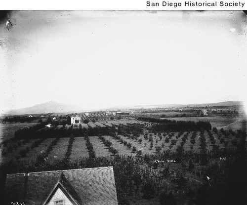View of houses and orchards in Chula Vista