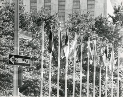 131 Flags of U.N., First Avenue
