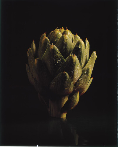 Artichoke