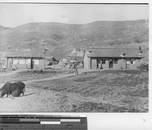 Homes of Manchurian countryside at Fushun, China, 1939