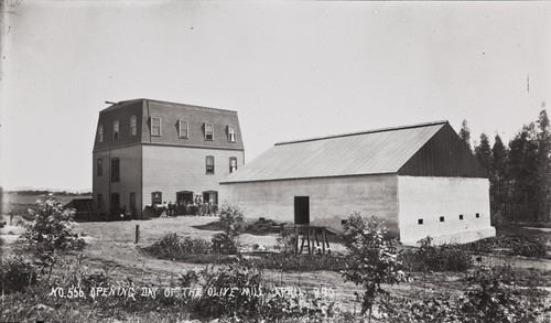 B.F. Conaway photograph of Opening Day of the Olive Mill