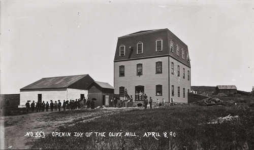 B.F. Conaway photograph of Opening Day of the Olive Mill