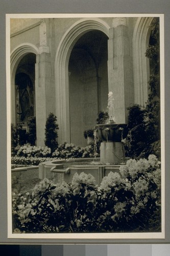 Corner of Flower Court, Rhodendron [sic] and Tulip time