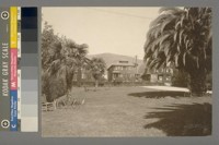 [Yard. Unidentified residence. Berkeley?]