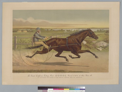 The Grand California trotting mare Sunol [horse]