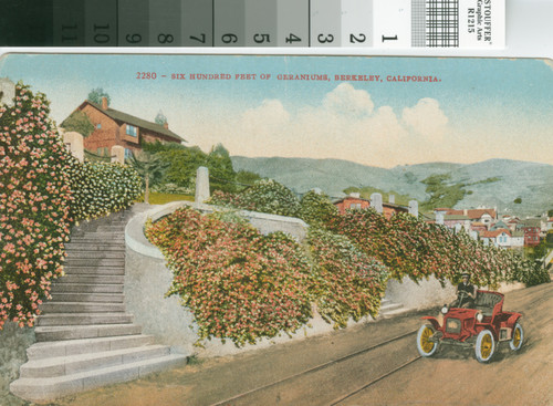 Berkeley residence with geraniums