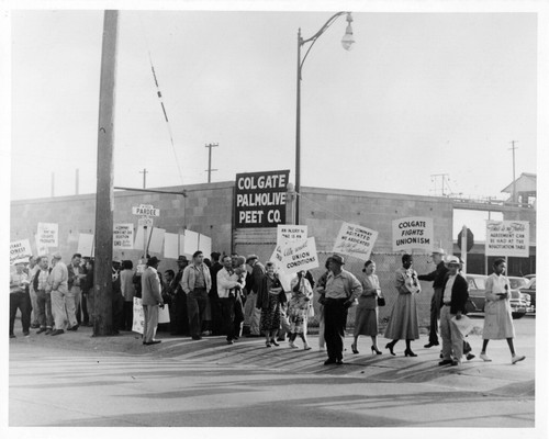 Colgate-Palmolive Peet Co., Berkeley, Strike, 1961-62