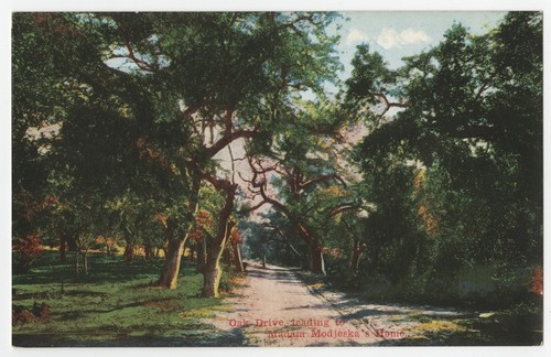 Oak Drive, leading to Madam Modjeska's Home