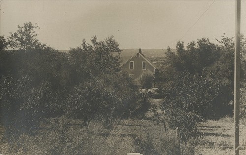 House and orchard in Alpine, San Diego County