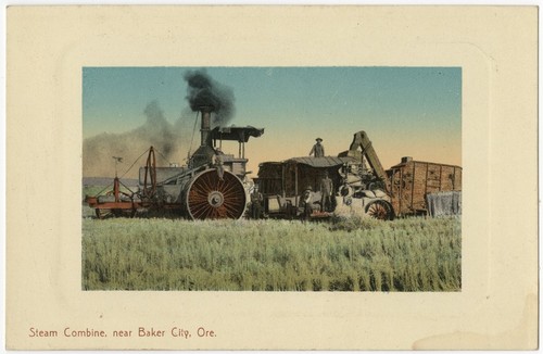 Steam combine, near Baker City, Ore