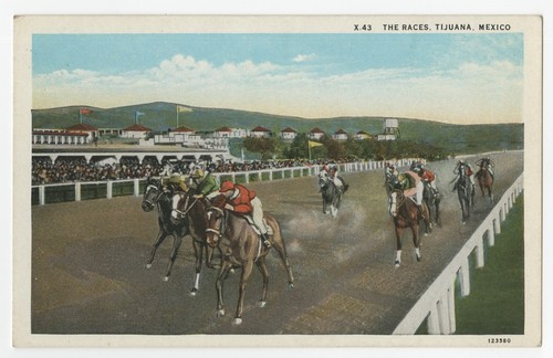 The races, Tijuana, Mexico