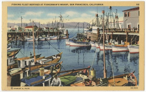 Fishing fleet berthed at Fisherman's Wharf, San Francisco, California