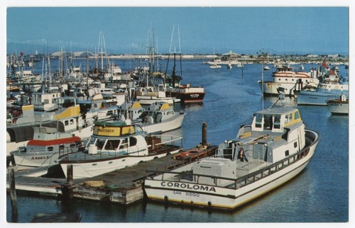 Sportfishing boats, Municipal Yacht Basin, San Diego Harbor