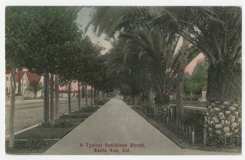 A typical residence street, Santa Ana, Cal