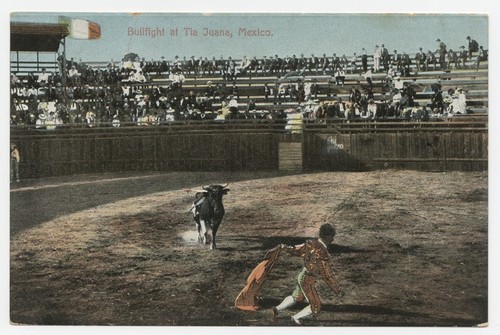 Bullfight at Tia Juana, Mexico