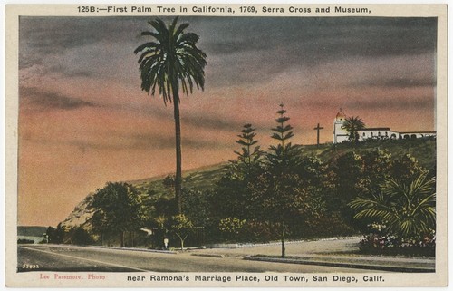 First palm tree in California, 1769, Serra Cross and Museum, near Ramona's Marriage Place, Old Town, San Diego, Calif