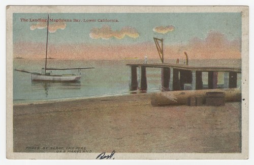 The landing, Magdalena Bay, Lower California