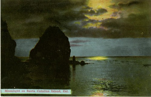 Moonlight on Santa Catalina Island, Cal