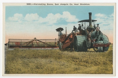 Harvesting scene, San Joaquin Co. near Stockton