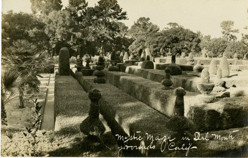 Mystic Maze in Del Monte grounds, California