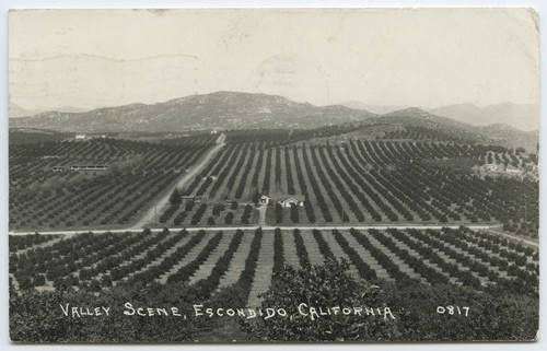 Valley scene, Escondido, California