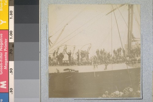 Catching oranges thrown from tugs. The Zealandia