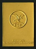 Svenska Flygsportforbundet medal (2 items)