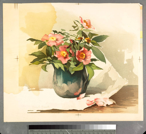 [Proof of pink flowers in a pitcher]