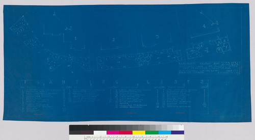 Embankment planting plan, lots 1,2,3,4, San Francisco, c. 1920