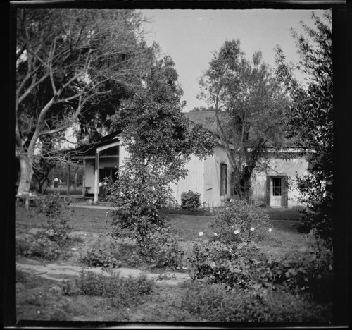 Unidentified house with rose garden